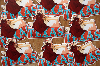 Texas USA Vinyl Sticker