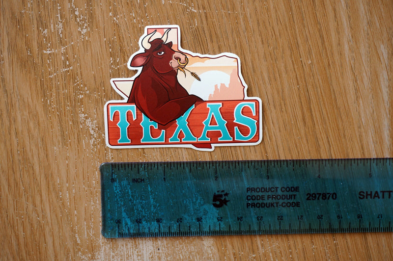 Texas USA Vinyl Sticker